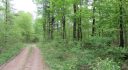 NEW YORK 37 ACRES