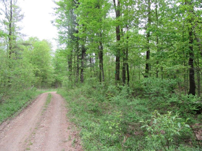 NEW YORK 37 ACRES