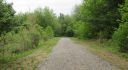 NEW YORK 37 ACRES