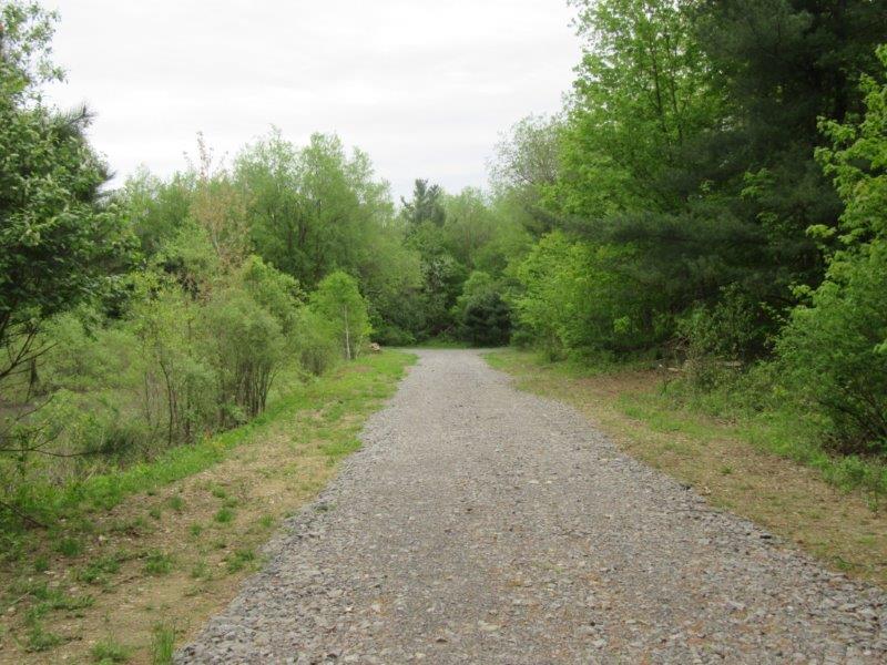 NEW YORK 37 ACRES