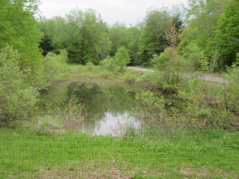 NEW YORK 37 ACRES