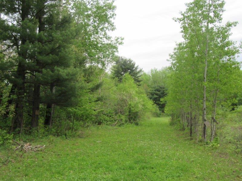 NEW YORK 37 ACRES