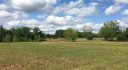 Alabama Land For Sale – 40 Acres