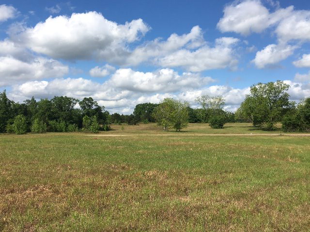 Alabama Land For Sale – 40 Acres