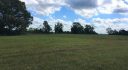Alabama Land For Sale – 40 Acres