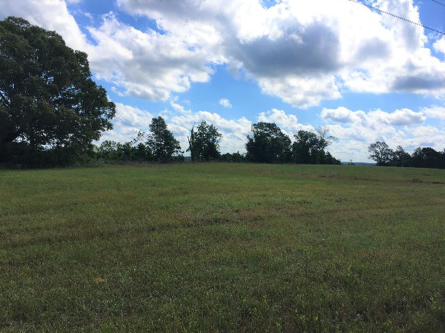 Alabama Land For Sale – 40 Acres