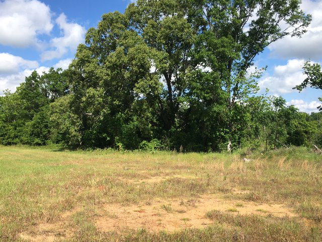Alabama Land For Sale – 40 Acres