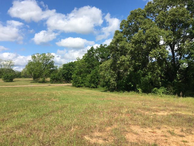 Alabama Land For Sale – 40 Acres