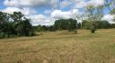 Alabama Land For Sale – 40 Acres