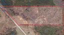 Alabama Land For Sale – 40 Acres