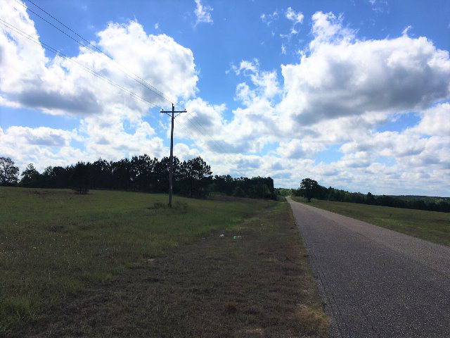 Alabama Land For Sale – 40 Acres