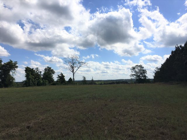 Alabama Land For Sale – 40 Acres