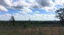 Alabama Land For Sale – 40 Acres