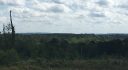 Alabama Land For Sale – 40 Acres