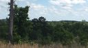Alabama Land For Sale – 40 Acres
