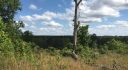 Alabama Land For Sale – 40 Acres