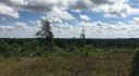 Alabama Land For Sale – 40 Acres