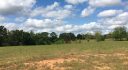 Alabama Land For Sale – 40 Acres