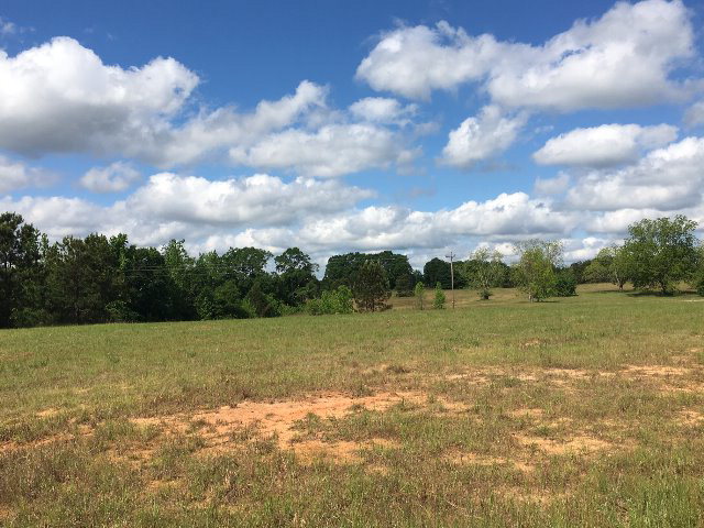 Alabama Land For Sale – 40 Acres