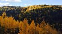 Colorado Farms and Ranches For Sale – 100 Acres