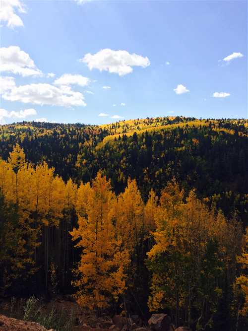Colorado Farms and Ranches For Sale – 100 Acres