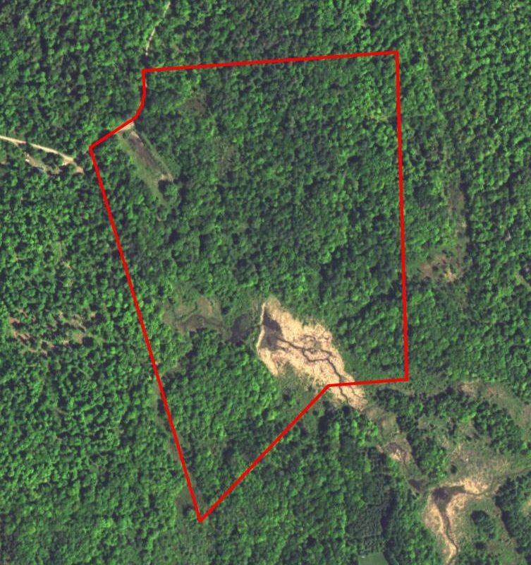 NEW YORK 37 ACRES