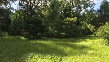Snow Hill 42.8 acres