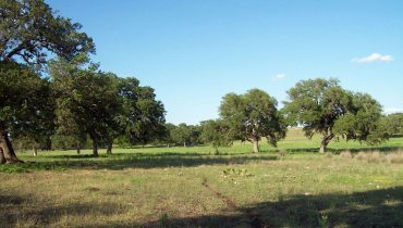 71 acres in Kendall County, Texas