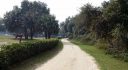 240 Lake Front Acres in Lake County Fl