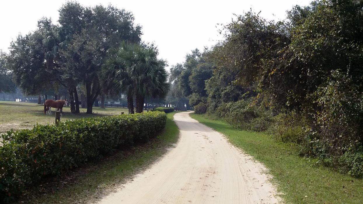 240 Lake Front Acres in Lake County Fl