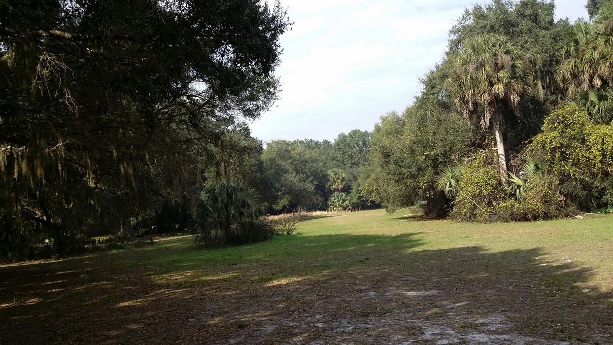 240 Lake Front Acres in Lake County Fl
