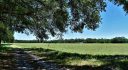 225 acres in Levy County, Florida