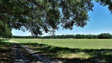 225 acres in Levy County, Florida