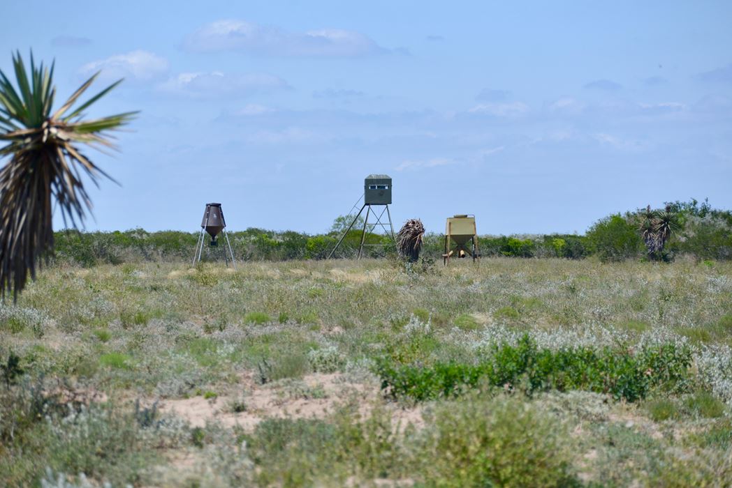 RANCHO DE PEZ Y CAZA