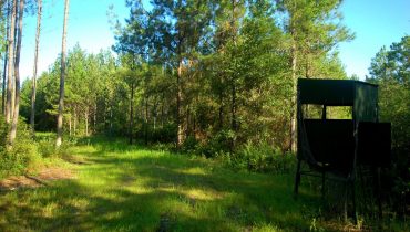 Springhill Tract
