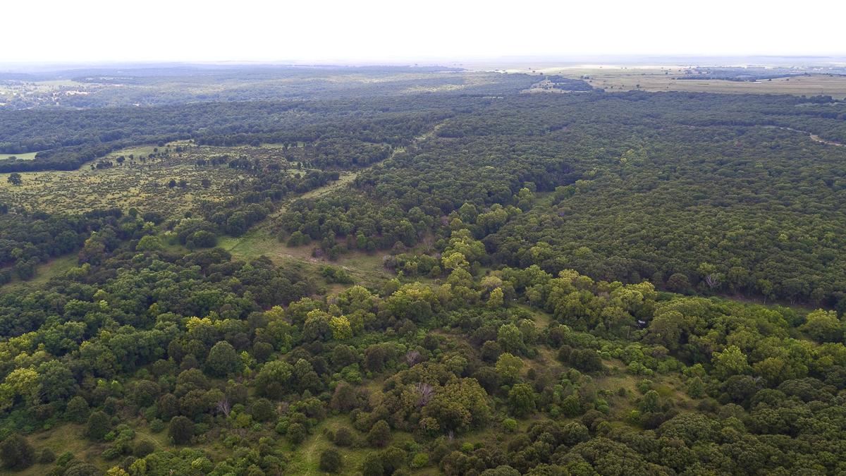 558 acres of Land and 2 story Hunting Cabin