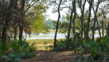 Orlando Area Ranch Sale 2/10