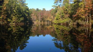 Sweetwater Creek Farm