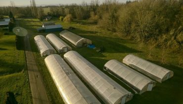 14.09 acres in Linn County, Oregon