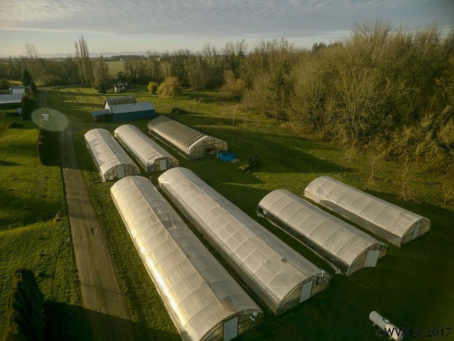14.09 acres in Linn County, Oregon