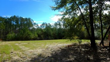 Cosson Road