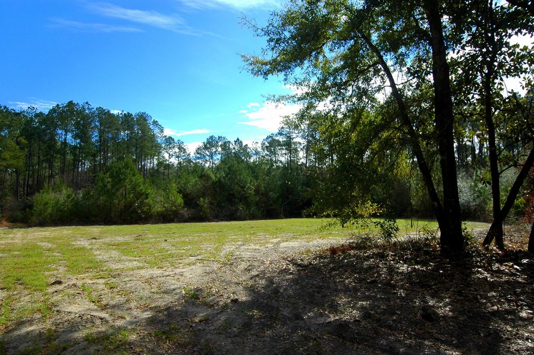Cosson Road