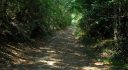 Cosson Road