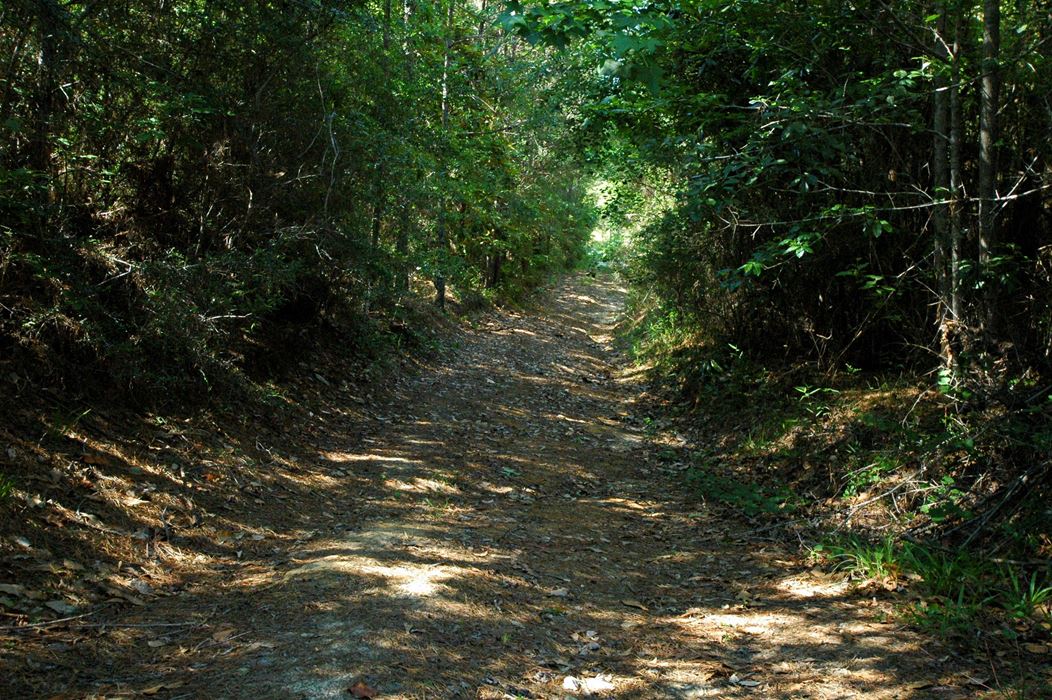 Cosson Road