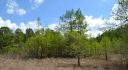 Citrus County, Inverness, Florida, United States