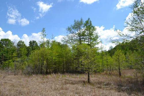 Citrus County, Inverness, Florida, United States