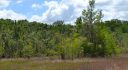 Citrus County, Inverness, Florida, United States