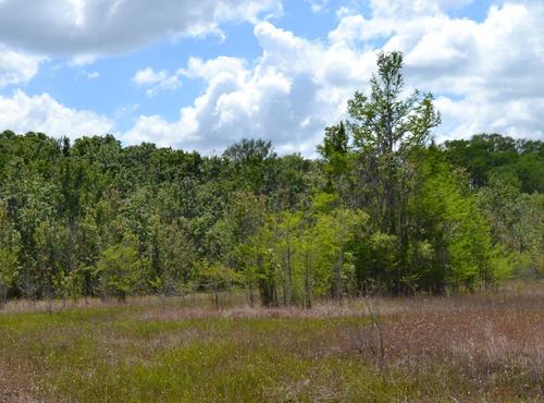 Citrus County, Inverness, Florida, United States