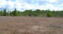 Citrus County, Inverness, Florida, United States