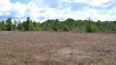 Citrus County, Inverness, Florida, United States